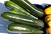 COURGETTE BEST OF BRITISH F1