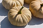 WINTER SQUASH AUTUMN CROWN F1