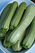 LIGHT COURGETTE F1