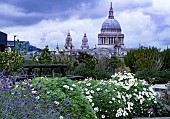 ROOF GARDEN LONDON