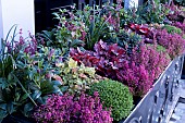 AUTUMN/WINTER BEDDING