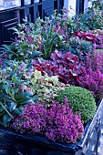 AUTUMN/WINTER BEDDING