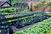 WALLED KITCHEN GARDEN