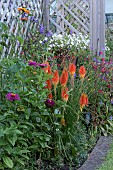 SUMMER BORDER