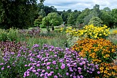 AUTUMN PERENNIAL GARDEN