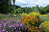 AUTUMN PERENNIAL GARDEN