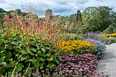 AUTUMN PERENNIAL GARDEN