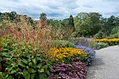 PERENNIAL AUTUMN BORDER
