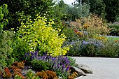 AUTUMN BORDERS