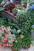 HOUSEPLANTS