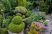 ENGLISH GARDEN WITH TOPIARY