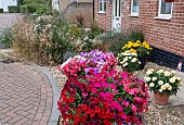 CONTRASTING FRONT GARDENS, CONTAINER ANNUALS VIS NATURE