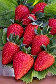 STRAWBERRY PRIZE