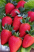 STRAWBERRY PRIZE