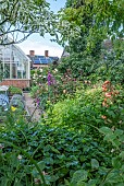 GARDEN WITH SHRUBS & GREENHOUSE