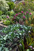 VEGETABLE AND FLOWER GARDEN