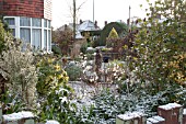 FROSTY FRONT GARDEN