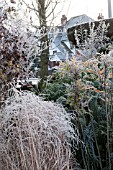 FROSTY FRONT GARDEN