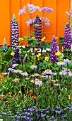 COLOURFUL PERENNIAL BORDER