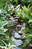 STREAM EDGED WITH FERNS AND HOSTAS