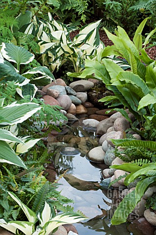 STREAM_EDGED_WITH_FERNS_AND_HOSTAS