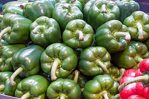 SWEET_GREEN_PEPPERS
