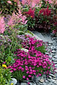 PINK AND RED BORDER - ASTILBES AND DIANTHUS