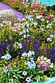 CAMPANULA, SALVIA, HOSTA AND PLUMBAGO