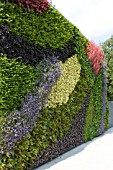 VERTICAL GARDENING GREEN WALL  PLANTED WITH ALPINES FERNS AND PERENNIALS