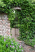 ARCH SURROUNDED WITH CLIMBING PLANTS