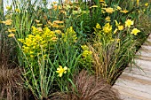 GOLDEN BORDER WITH SOLIDAGO HEMEROCALLIS, ACHILLEA AND GRASSES