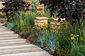 BEE HIVES AMONGST GRASSES AND GOLDEN FLOWERING PLANTS