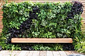 LIVING WALL