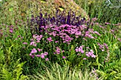 PRARIE PLANTING