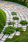 PATH WITH FRAGRANT PLANTS