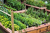 RAISED VEGETABLE BEDS EDGED WITH VICTORIAN STYLE ROPE TWIST EDGING