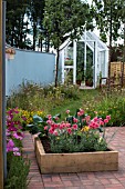 INFORMAL GARDEN WITH WILDFLOWERS