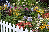 MIXED PERENNIAL BORDER.