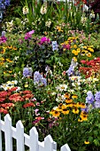 MIXED PERENNIAL BORDER.