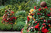 SUMMER DISPLAY OF BEGONIAS