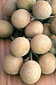 LONGON DIMOCARPUS LONGAN