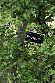 FOOTPATH SIGN OVERGROWN