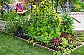 VEGETABLE AND HERB GARDEN