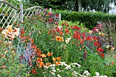 PERENNIAL BORDER IN SUMMER