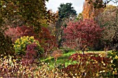 SIR HAROLD HILLIER GARDENS & ARBORETUM IN AUTUMN