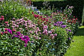 PERENNIAL BORDER AT STONE HOUSE COTTAGE GARDEN