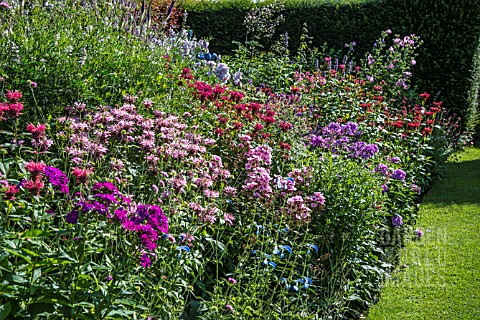 PERENNIAL_BORDER_AT_STONE_HOUSE_COTTAGE_GARDEN