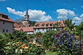 ROSE AND CLEMATIS GARDEN ERLABRUNN GERMANY