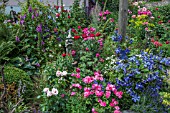 MIXED BORDER WITH PERENNIALS CLEMATIS STATUES SHRUBS
