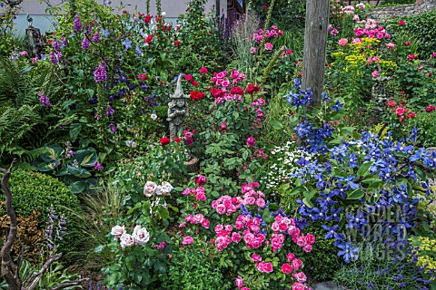 MIXED_BORDER_WITH_PERENNIALS_CLEMATIS_STATUES_SHRUBS